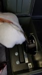 20180919_112451.jpg