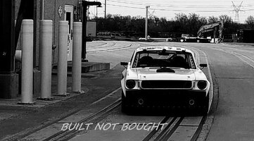 mustang art 3.1.jpg