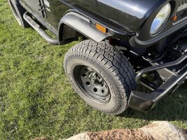 IMG_0235 (Large).JPG