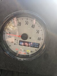 speedo.jpg