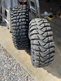IMG_4565.JPEG