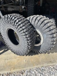 IMG_4564.JPEG