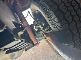 IMG_3653.jpeg