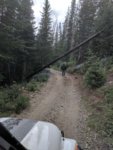 roxor colorado 1.jpg