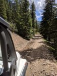 roxor colorado 2.jpg