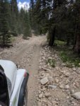 roxor colorado 4.jpg