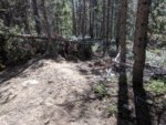 roxor colorado 5.jpg