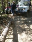 roxor colorado 7.jpg