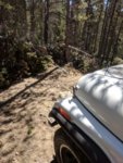 roxor colorado 8.jpg