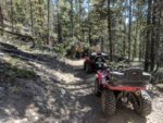 roxor colorado 9.jpg