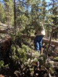 roxor colorado 6.jpg