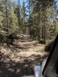 roxor colorado 10.jpg