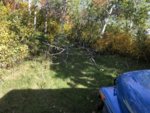 IMG_7806.JPG