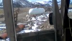 WIN_20200326_11_24_38_Pro.jpg