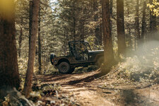 roxor-adventure-offroad-woods.jpg